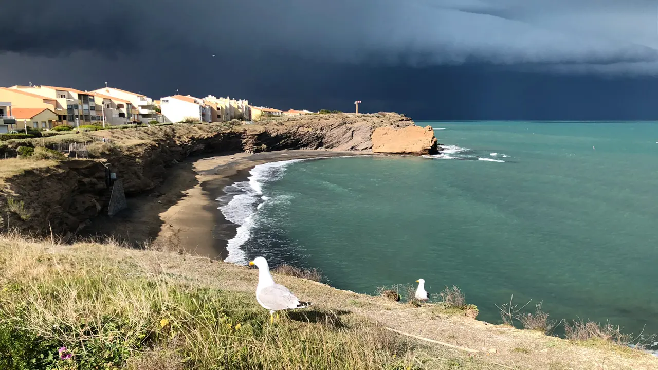 Crique rocheuse sous un ciel d'orage, goélands au premier plan